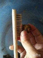 如何清理菩提子表面果皮肉