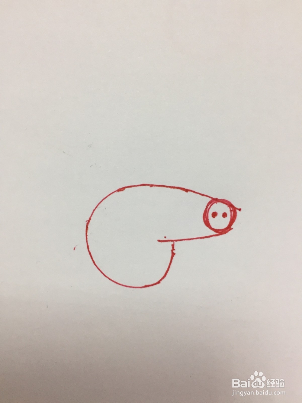 小猪佩奇的简单画法