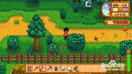 星露谷物语野莓攻略