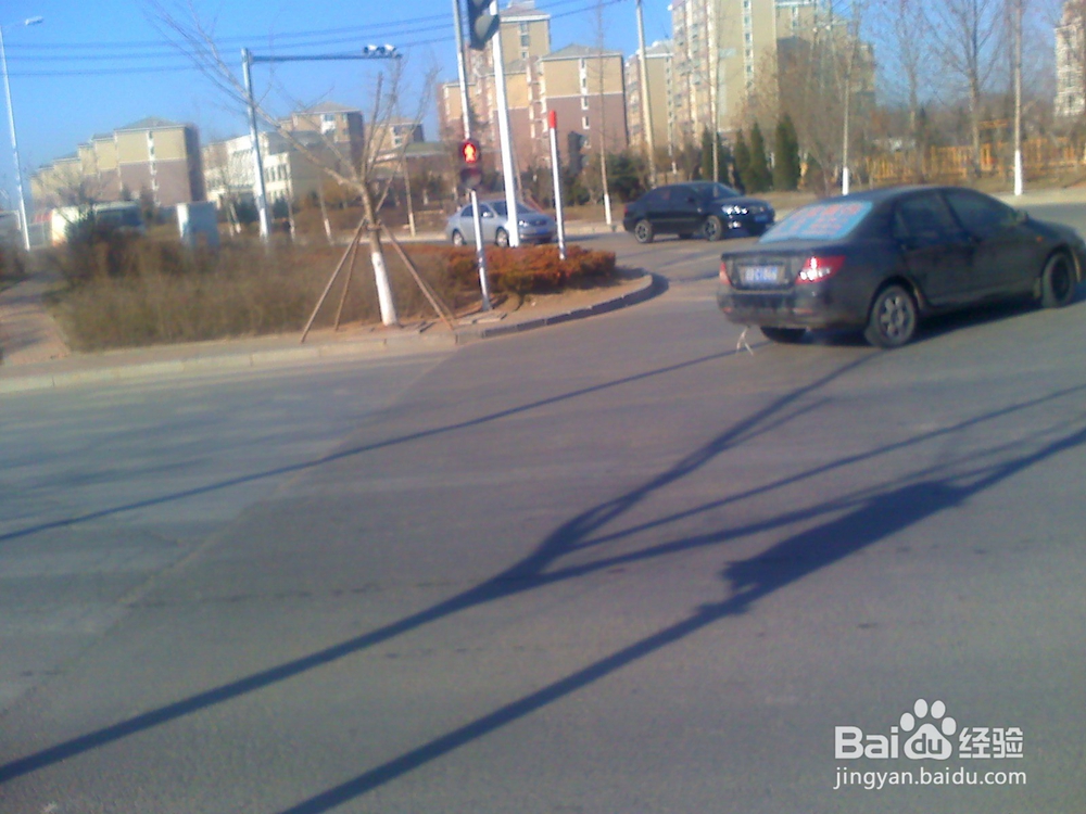 怎样告诉孩子安全出行---53