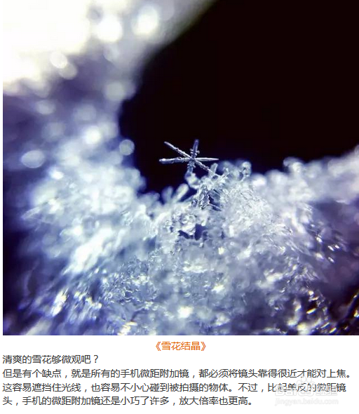 手机摄影微距技能 经验