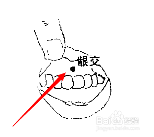 龈交穴穴位位置图及作用