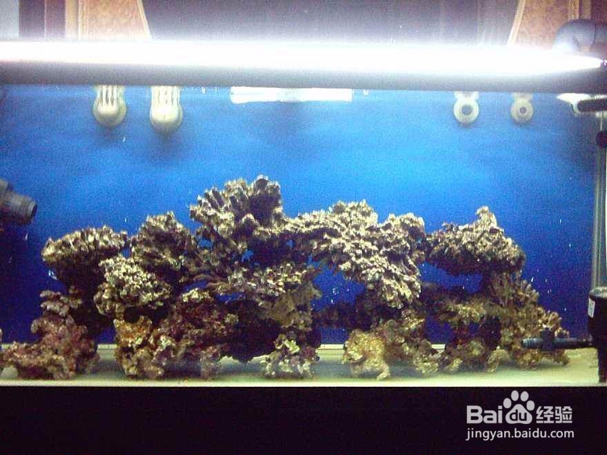 活石变臭石怎么处理