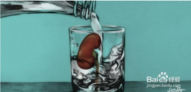 补肾不如保持肾脏健康