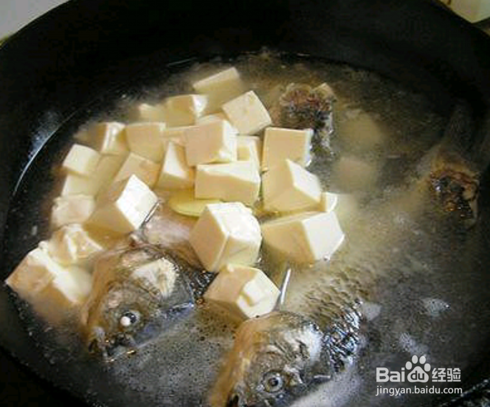 奶白色的鲫鱼豆腐汤