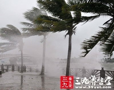 如何预防台风 遇台风时如何避险