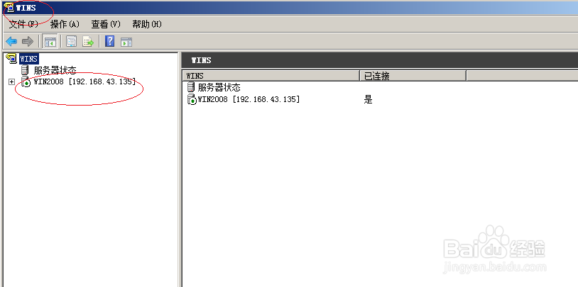 Windows server 2008新建WINS静态映射记录