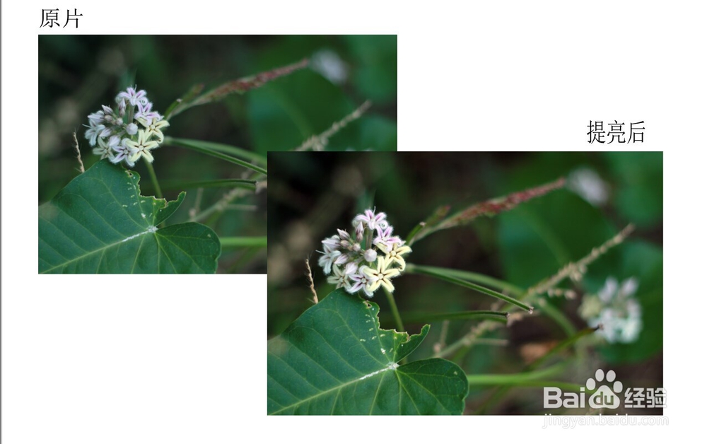 把照片变亮最简单的方法