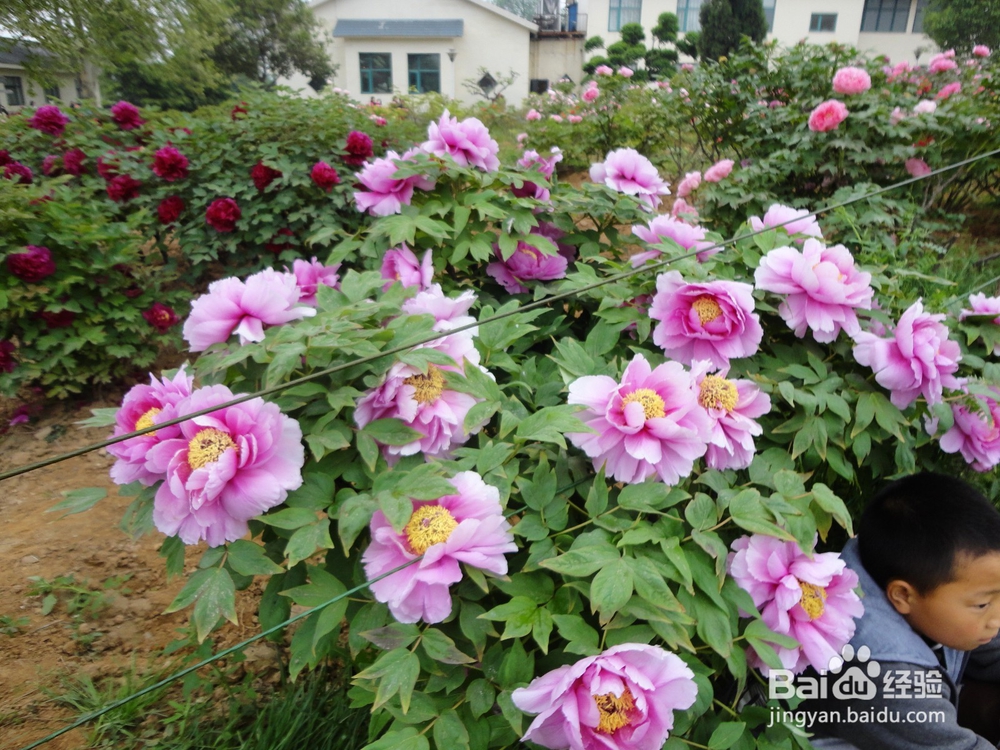 健康养生，快乐之本