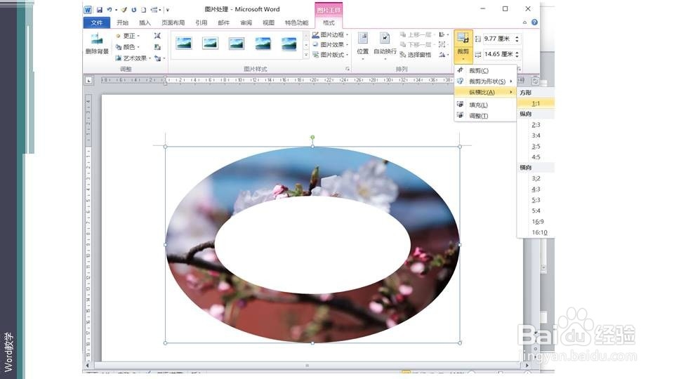 在word如何快速将照片处理为唱片形？
