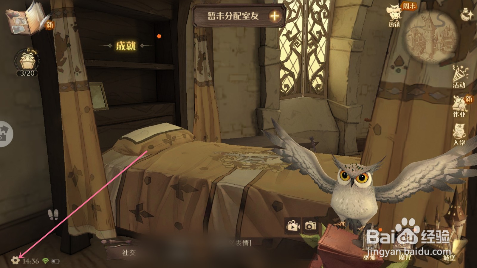 哈利波特魔法觉醒怎么设置跳过非初见的过场动画