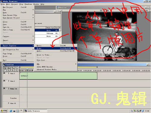 Premiere影视后期去字教程