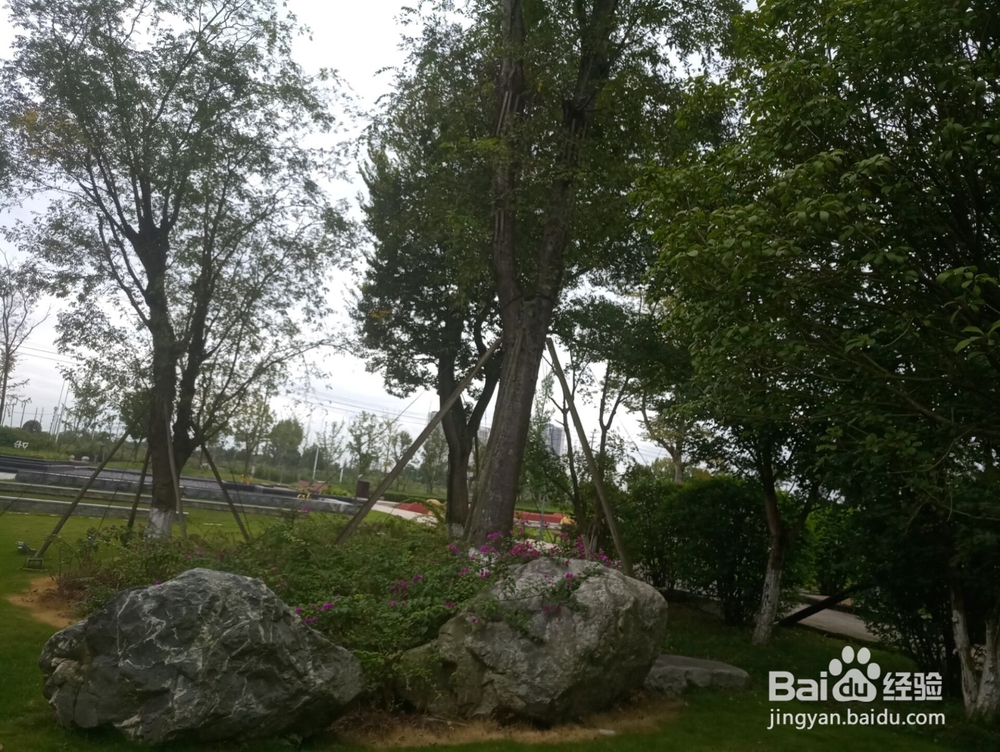 成都市郫都区清水河艺术公园半日游