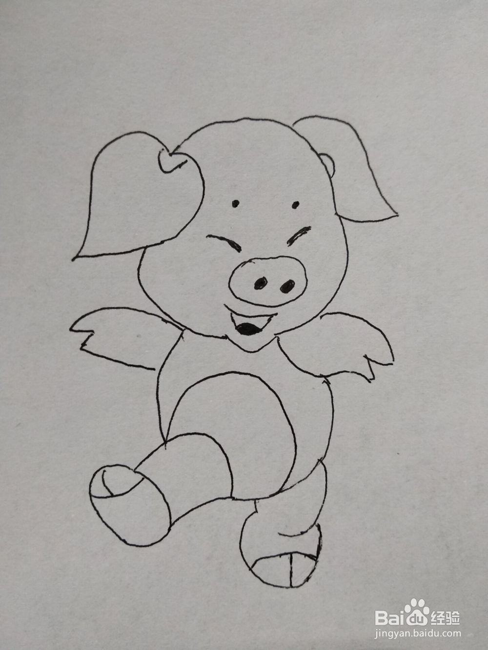 猪年开心小猪简笔画方法