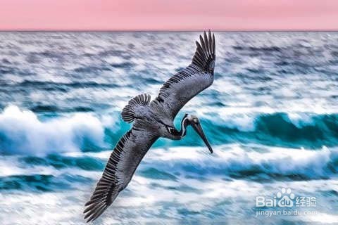 童鞋们,怎样才能学好语文