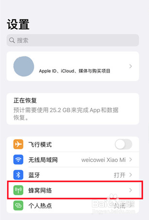 苹果手机apn功能在哪里