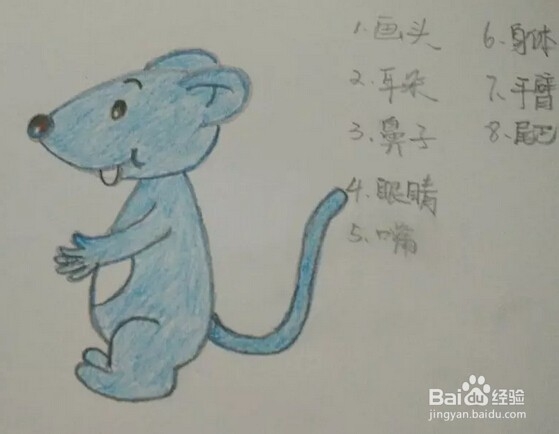 简笔画动物：[1]中国生肖-鼠