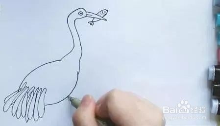 动物 篇——仙气满满的丹顶鹤简笔画
