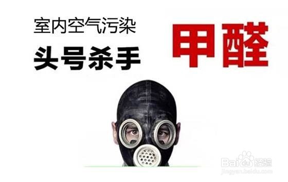 什么东西除甲醛最快 甲醛对我们的伤害有哪些