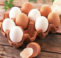 哪些食物可以健脑