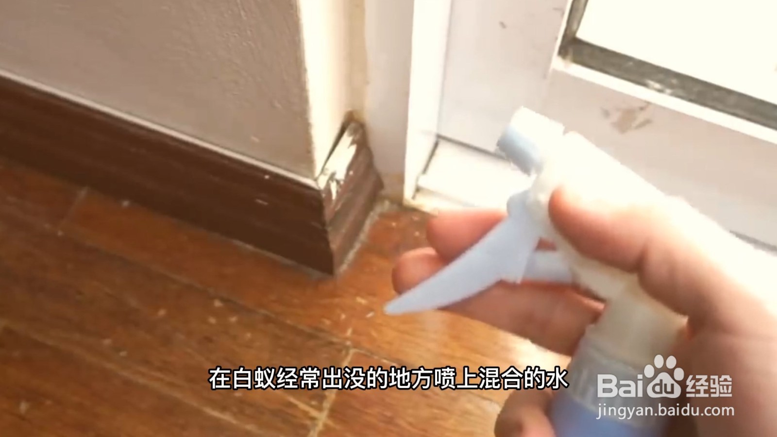 家里有蟑螂怎么办能除根