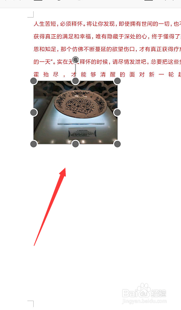 在手机WPS文档中怎样复制图片