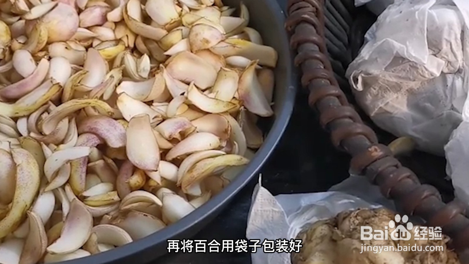 鲜百合怎么保存时间长而新鲜