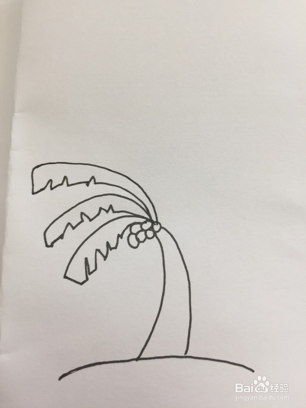 椰子树的简笔画