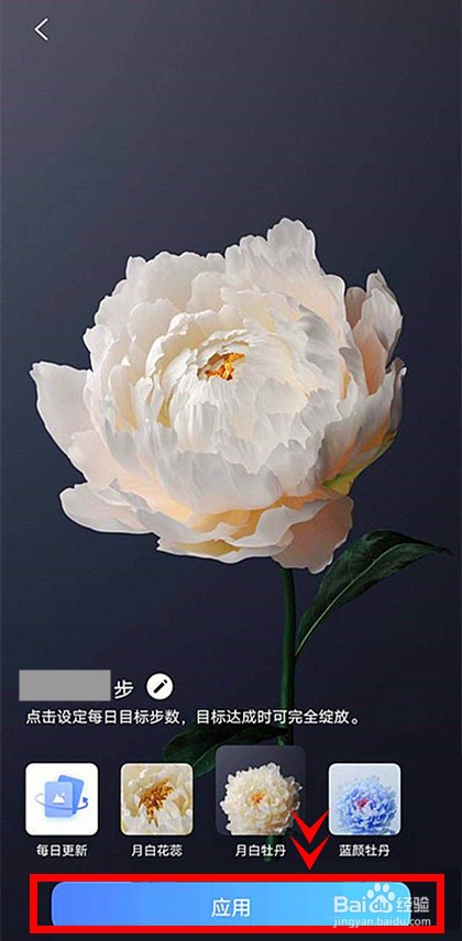 vivox60怎样设置行为壁纸