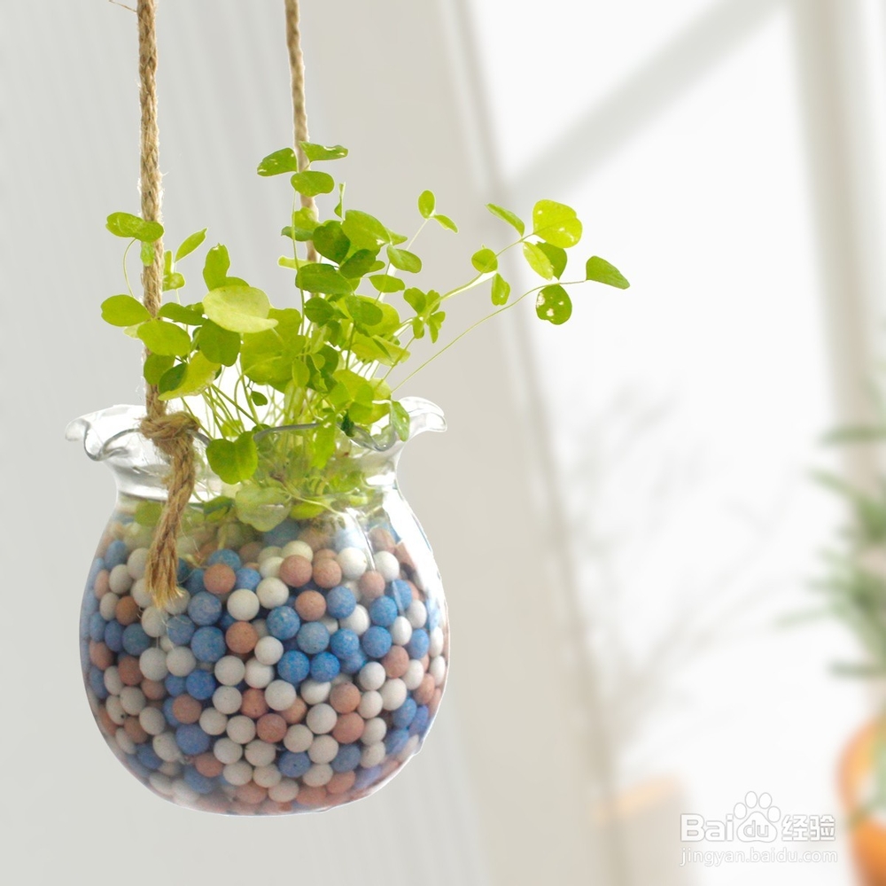 去除装修异味有妙招