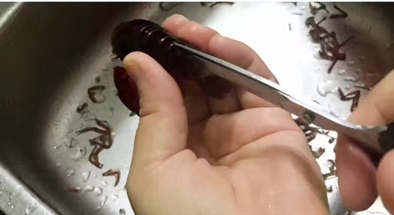 教你怎么处理小龙虾,干净又卫生