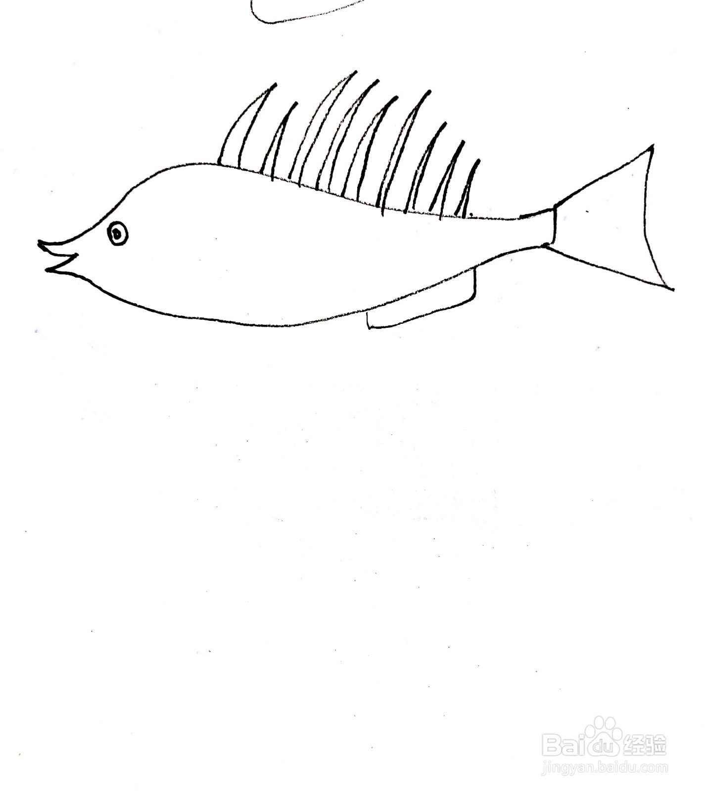 鲢鱼线描画怎么画