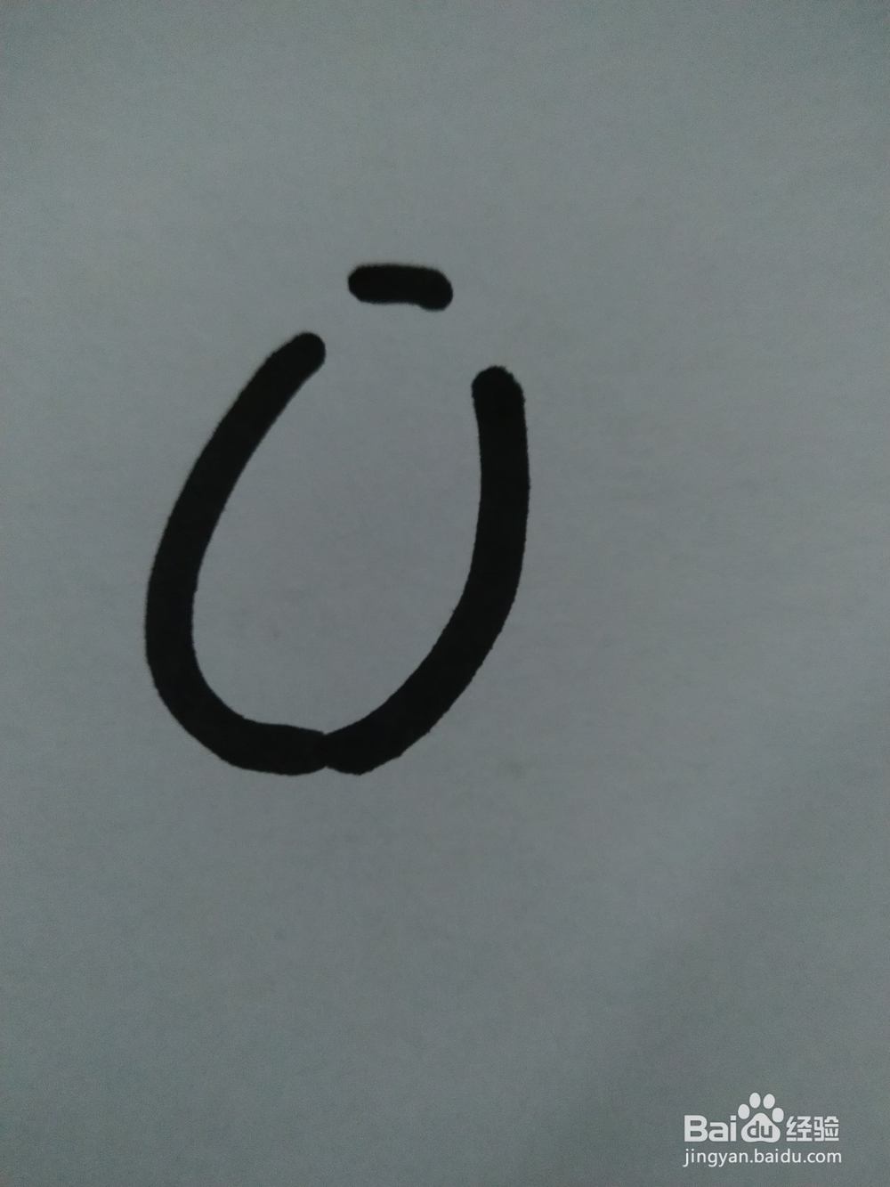 毛驴的简笔画技法16