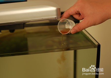 如何方便高效的清洁大鱼缸