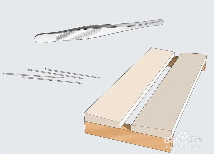 如何保存昆虫标本之用针插法制作蝴蝶标本