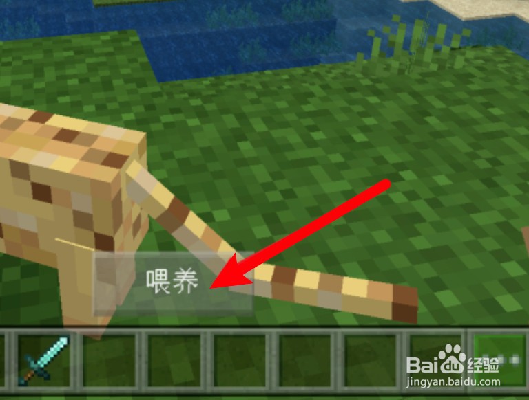 我的世界怎么驯服豹猫