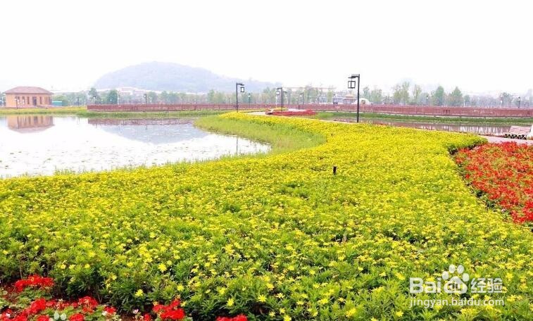 山里江南休闲度假区有哪些景观