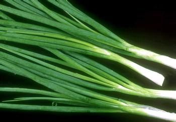 怎样做永州血鸭才好吃