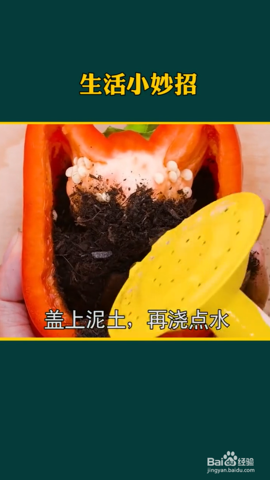 生活小妙招之种植小妙招