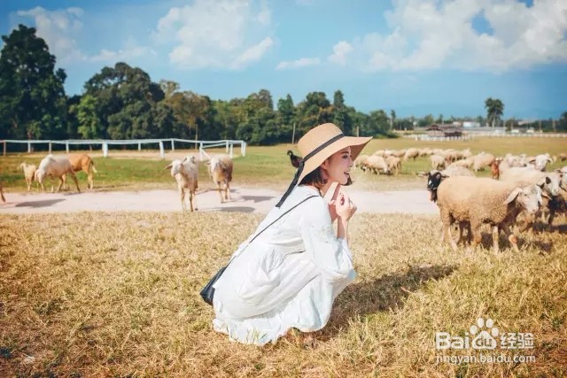 如何征服身边的男人？芈月教你