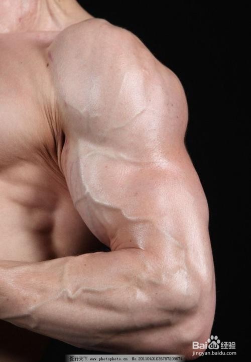 让你的肌肉比别人练得好有张的快