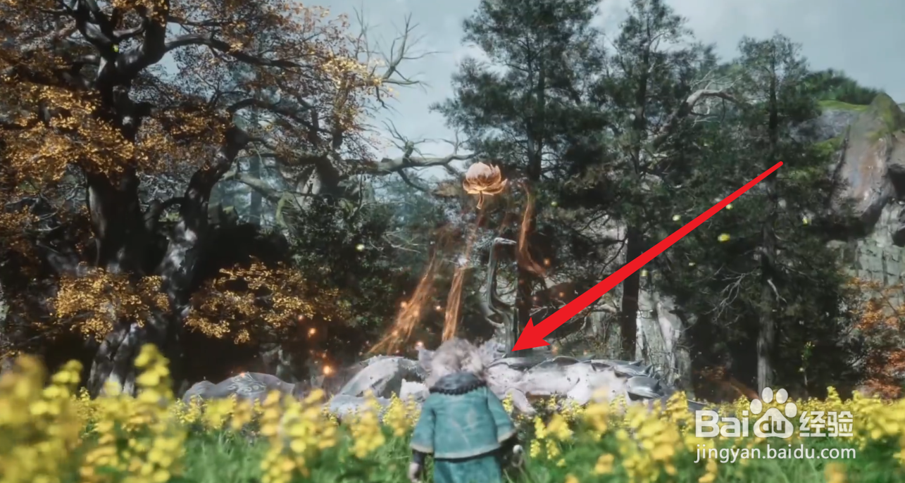 黑神话悟空金光眼眸有什么用