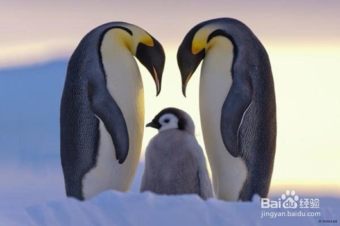 如何减少恋爱中的痛苦？