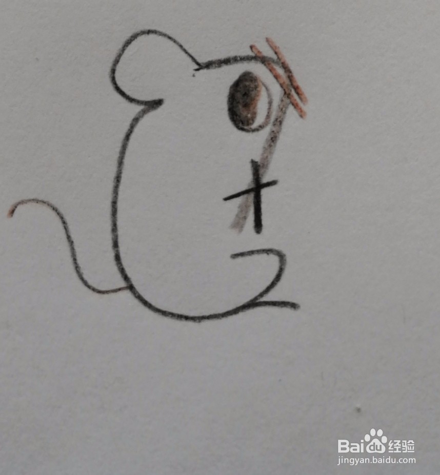 如何用数字5-9画出小动物呢？（下）