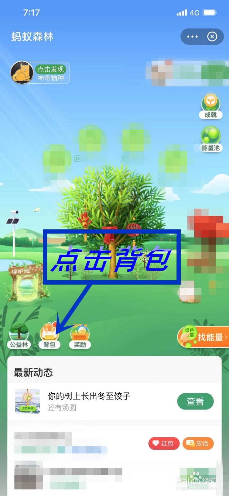 如何切换蚂蚁森林的皮肤