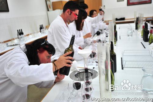 南澳葡萄香气飘散——品味澳洲美食