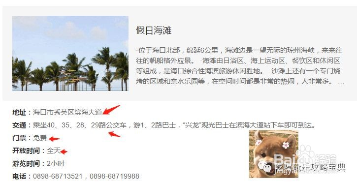 海口一日游最佳攻略