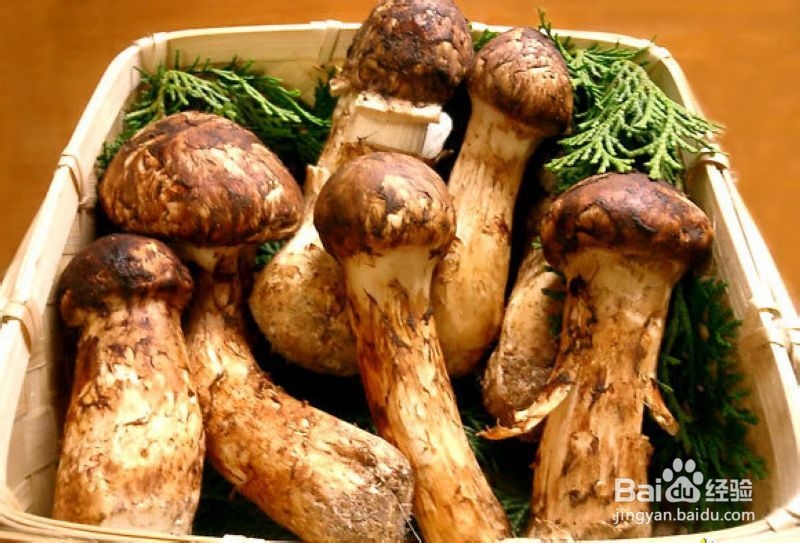 重庆到张家界旅游