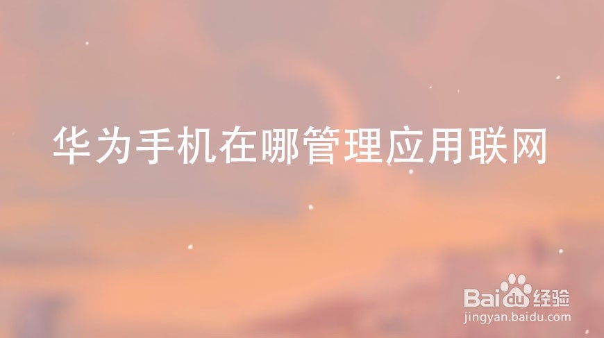 华为手机在哪管理应用联网