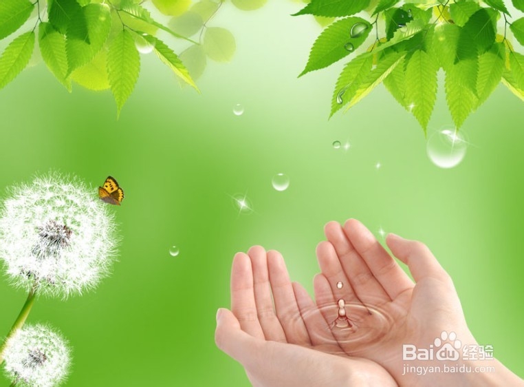 生活健康技巧：[16]食物系列七